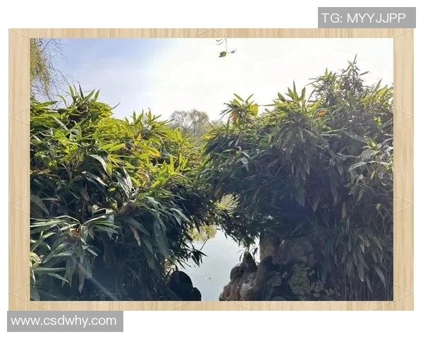 小春的四季变迁与心灵成长之旅探寻自然与自我的和谐共鸣